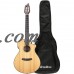 Breedlove Pursuit Nylon Acoustic Electric Guitar with Breedlove Gig Bag and ChromaCast Accessories   556555277